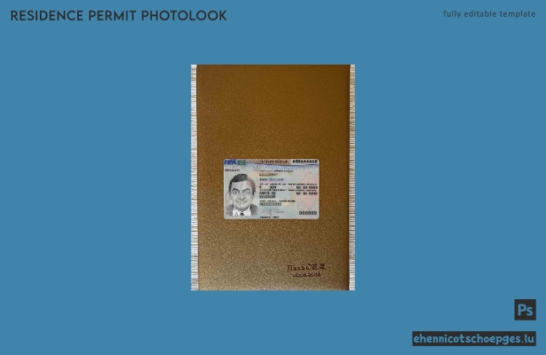 Frankreich neue Aufenthaltskarte 2019 – aktuelle Fotoansicht (Vorschau)